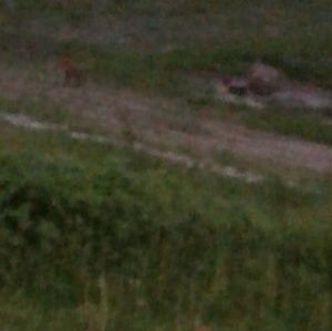 Meet your Posher, Kristin