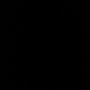 Meet your Posher, Victor