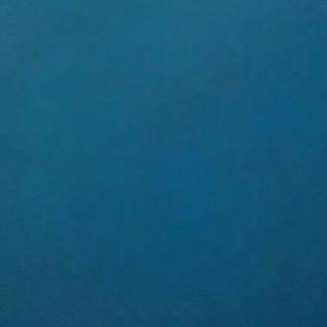 Meet your Posher, Joy