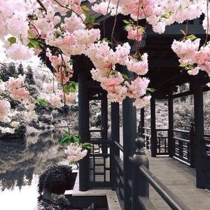 Meet your Posher, Connie