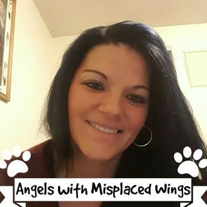 Meet your Posher, Sandy