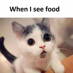 Meet your Posher, Adriyana