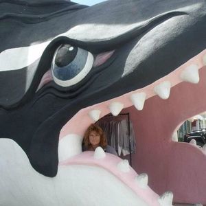 Meet your Posher, Donna