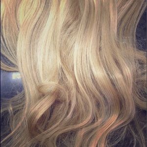 Clip In Hair Extensions (Warm Ash Blonde)