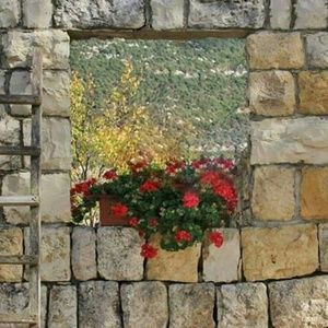 Meet your Posher, Nabih