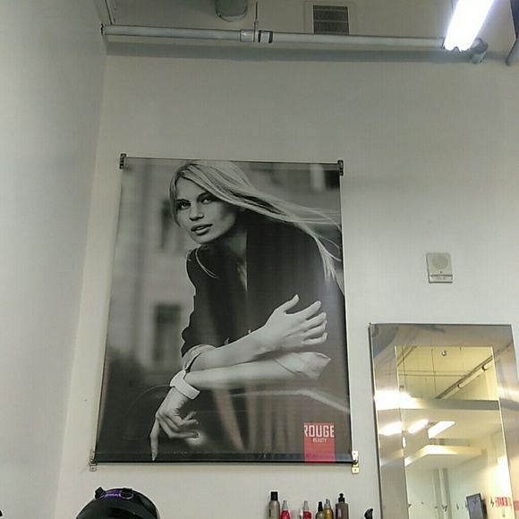 Meet your Posher, Leo - Picture 1 of 1