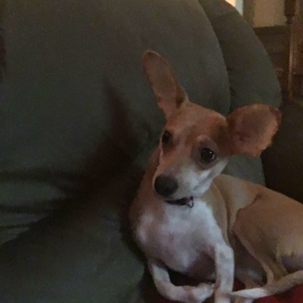 Meet your Posher, Helen