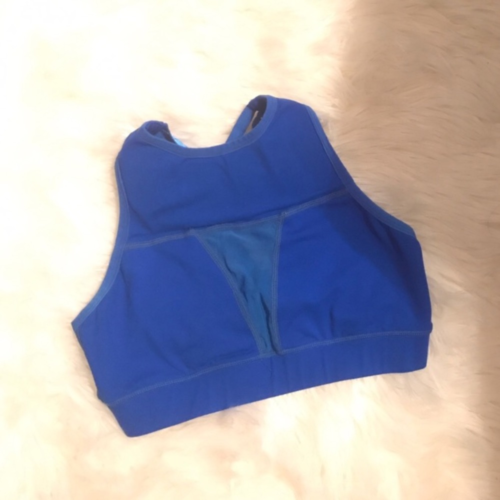 Chestee sports bra