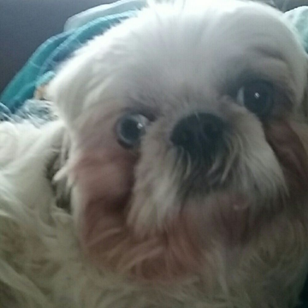 Meet your Posher, Barbara