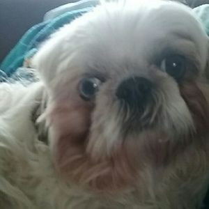 Meet your Posher, Barbara