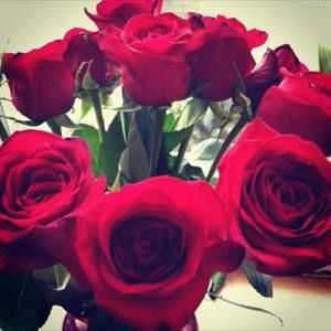 Meet your Posher, Manette