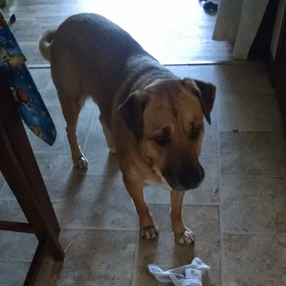 Meet your Posher, Joslyn