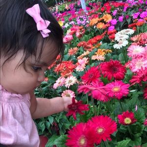 Meet your Posher, Cris