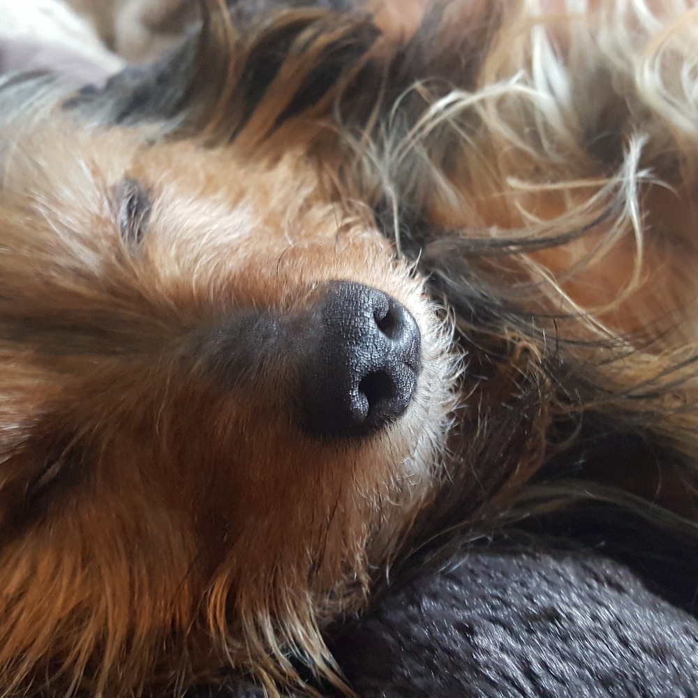 Meet your Posher, Tracy