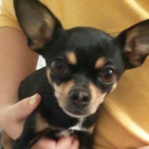 Meet your Posher, Jasmine