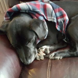 Meet your Posher, Noah