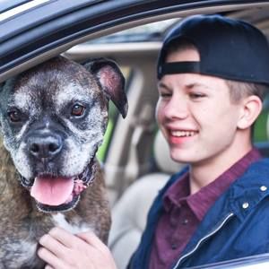 Meet your Posher, Owen