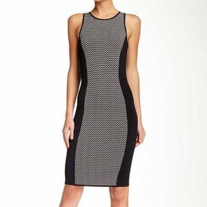 NWT Trina Turk Dress