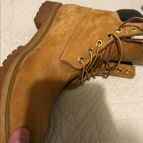 Wheat timberlands