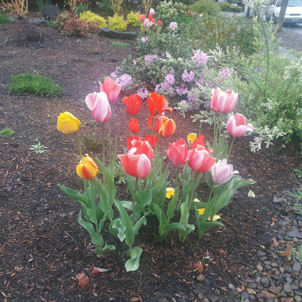 Meet your Posher, Andy