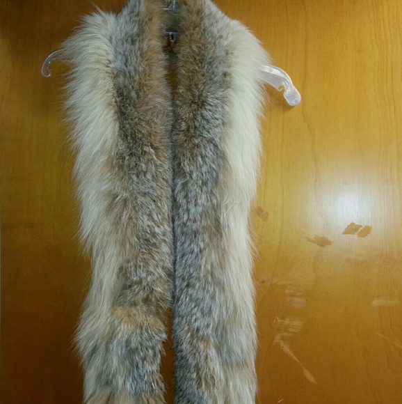 Help what fur is this coyote or link? - Picture 1 of 4