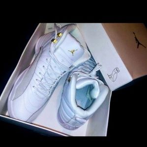 Jordan Retro 12 OVO'S DRAKE