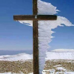 Meet your Posher, Raylene