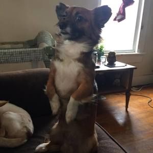 Meet your Posher, Marilyn