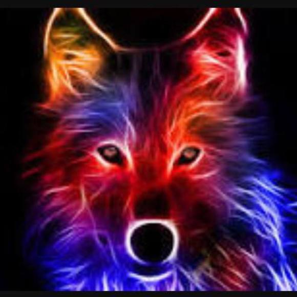 Meet your Posher, Danny - Picture 1 of 1