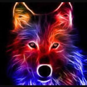 Meet your Posher, Danny