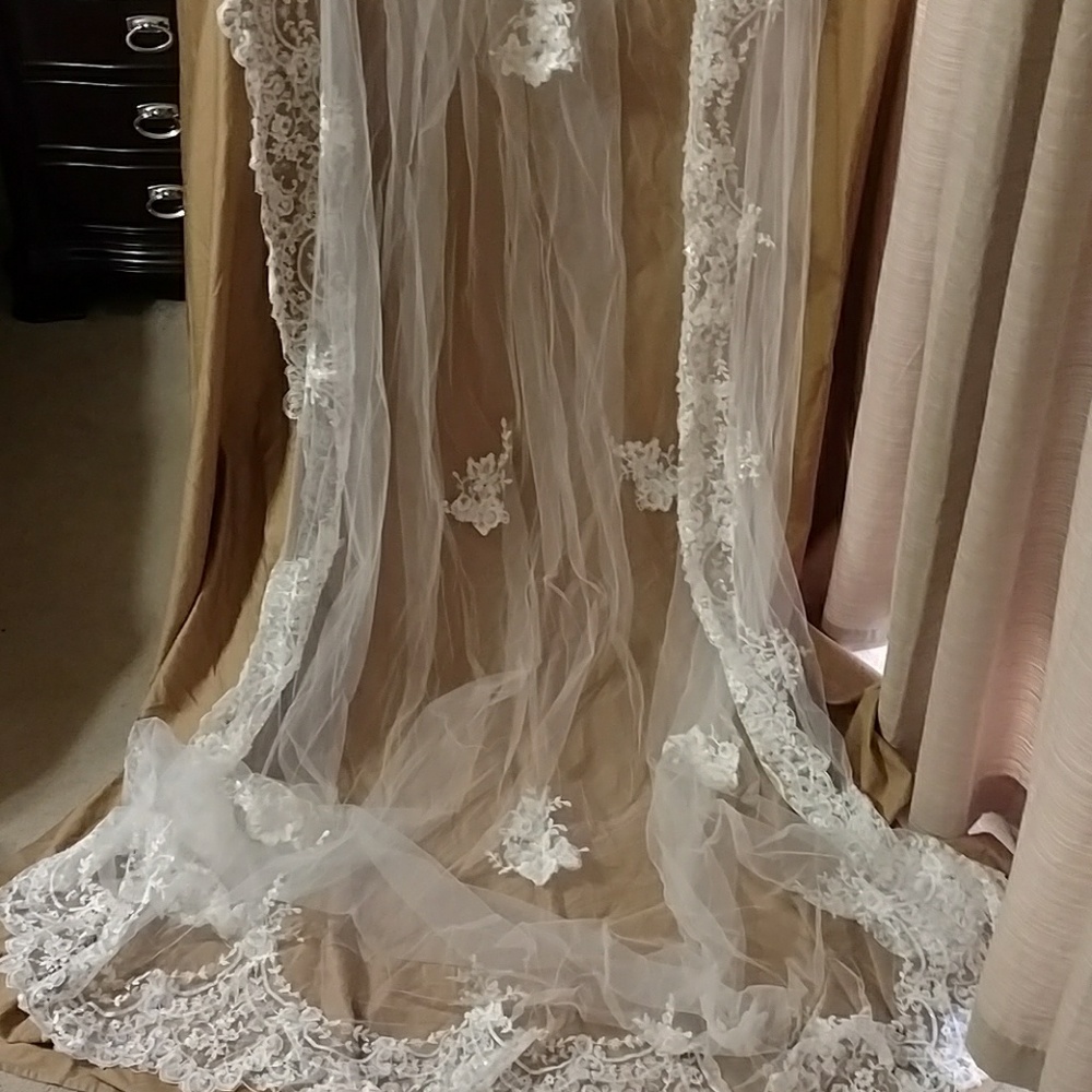 Veil heavily embellished Cathedral