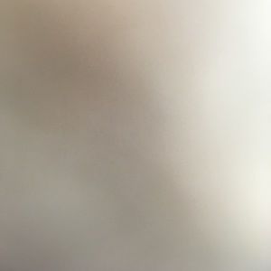 Meet your Posher, Drake