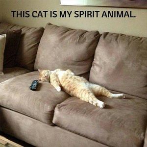 Meet your Posher, Deb