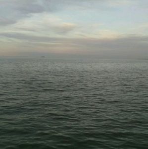 Meet your Posher, Angelica