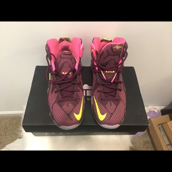 the twelve lebron james