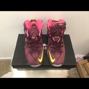 Nike Lebron James - The Twelve