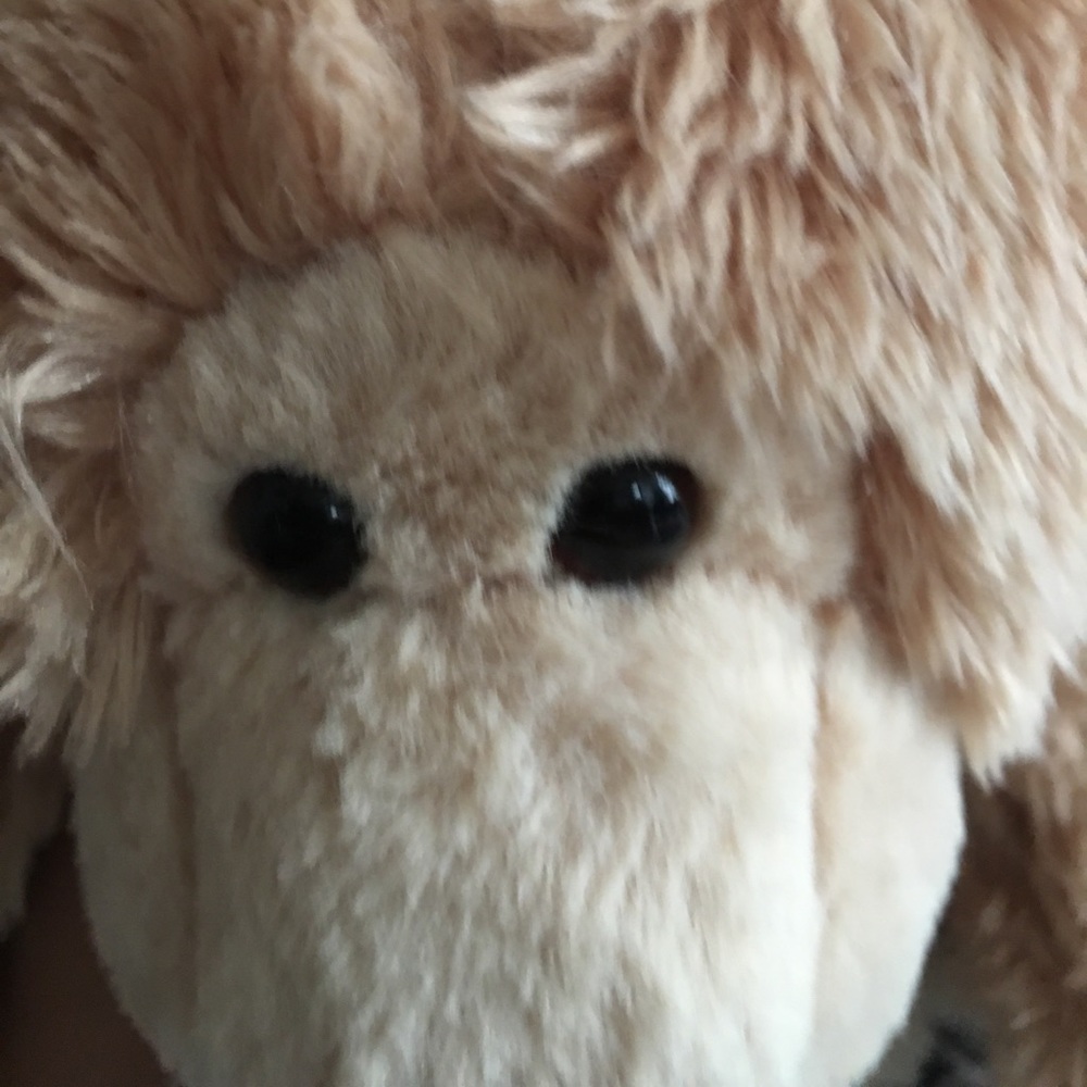 Meet your Posher, Walter