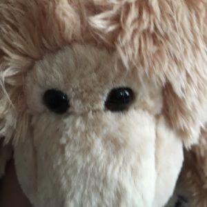 Meet your Posher, Walter