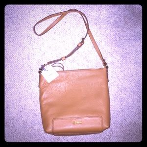 Fossil pocketbook