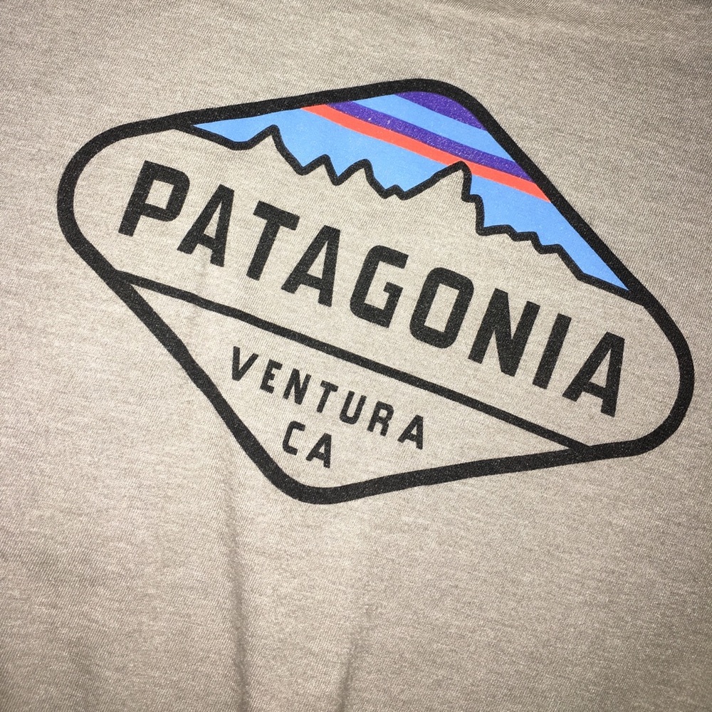 Gray Patagonia TShirt