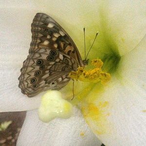 Meet your Posher, Mariah