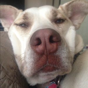 Meet your Posher, Olesya