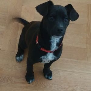 Meet your Posher, Tawanna