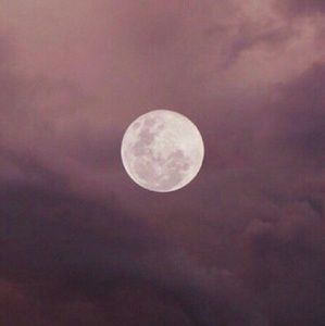 Meet your Posher, Kelsea