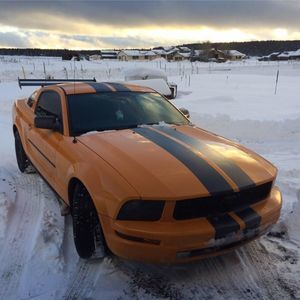 Meet your Posher, Andy