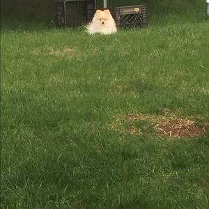 Meet your Posher, Shauna