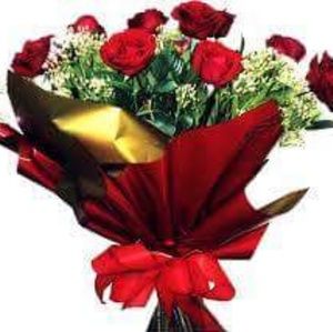 Meet your Posher, Dina