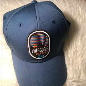 Patagonia Trucker Hat