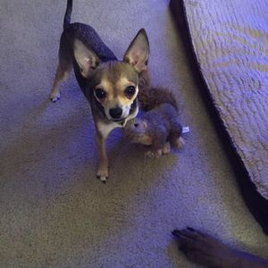 Meet your Posher, Theresa