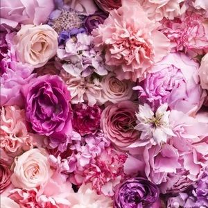 Meet your Posher, Fabiola